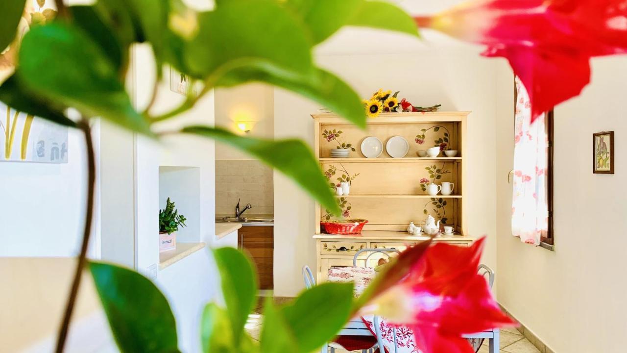 Casa In Maremma Tuscany Village スカルリーノ エクステリア 写真