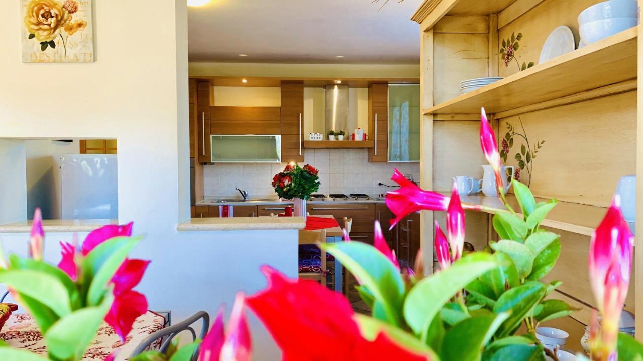 Casa In Maremma Tuscany Village スカルリーノ エクステリア 写真