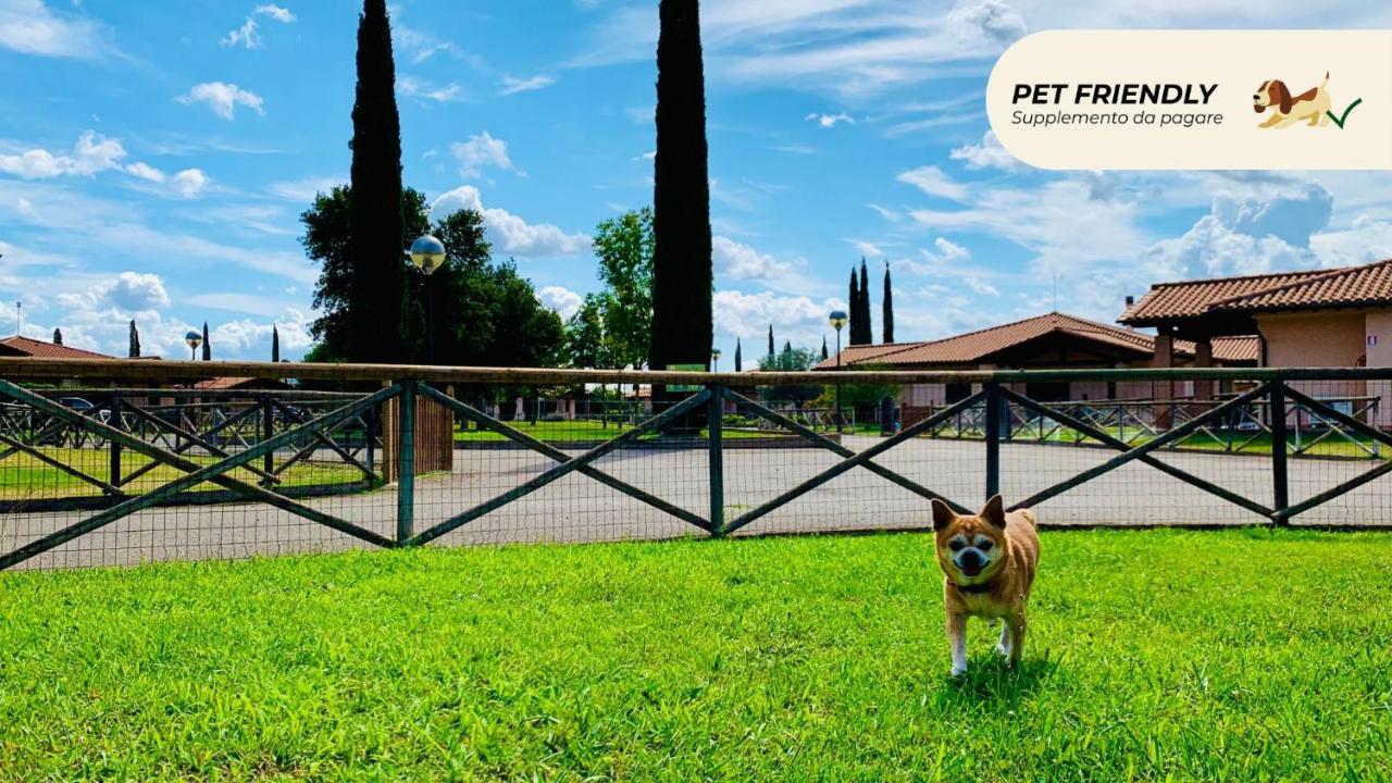 Casa In Maremma Tuscany Village スカルリーノ エクステリア 写真